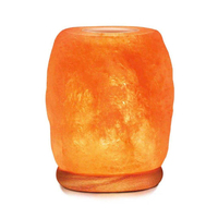 Diffuseur d'huiles essentielles électrique à LED avec sel de l'Himalaya, lampe aromathérapie ultrasonique 200 ml, relaxation à domicile, prise USB US, portable