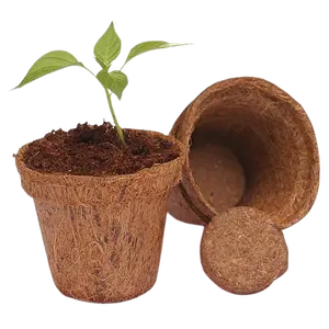 Vasi CocoCoir di buona qualità che rimodellano le industrie con soluzioni Eco-compatibili che rendono la forza dei vasi CocoCoir dall'india