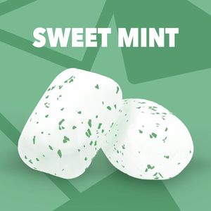 ORBIT Sweet Mint <b>Gum</b>, <b>Chewing</b> <b>Gum</b> Sugar-Free, 6 Packs, <b>Bulk</b> Pack - Product Image 2