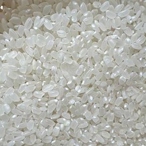Riz blanc japonica à grains courts, texture dure, séché, non-OGM, fabriqué au Vietnam - Product Image 1