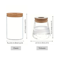 Vente en gros de pots en verre pour terrarium avec couvercle en liège, décoration d'intérieur, cadeau de jardin, kit de propagation de plantes pour pots de fleurs et jardinières