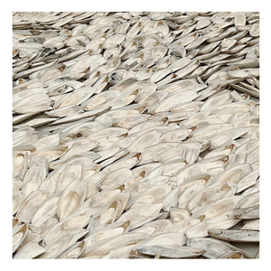 100% กระดูกปลาหมึกธรรมชาติที่เป็นมิตรกับสิ่งแวดล้อมจากเวียดนามกระดูกปลาหมึกสดสำหรับงานศิลปะกระดูกปลาหมึกทันสมัยสำหรับเคี้ยวสัตว์เลี้ยง - Product Image 6