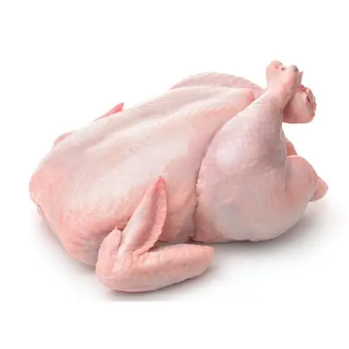 Pollo entero congelado Halal al por mayor, patas, alas