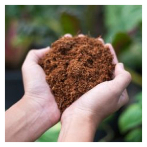 <strong>Compressed</strong> Coconut <strong>Block</strong> Brick Coconut <strong>Peat</strong> 5Kg 1Kg 650 Grams for Mega Sale - Product Image 3