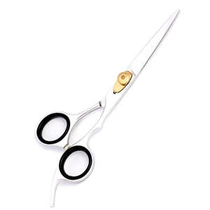 Ciseaux de salon en acier inoxydable 420 imprimés floraux enduits au plasma Ciseaux de coiffeur pointus pour la coupe de cheveux pour les salons et la beauté - Product Image 1