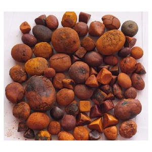 Producto de extracto de animales Premium de buey seco de calidad fresca al mejor precio - Product Image 4