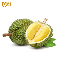 Durian Monthong entier Khey Taladthai Grade 0.5kg - Savourez chaque bouchée des fruits royaux cueillis à la main, fraîcheur authentique, conditionnement en boîte 2-3