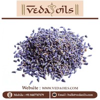 Fleur de lavande séchée | Thé de fleurs naturelles séchées, fleur de lavande séchée biologique standard, décor de fleurs de lavande séchées en gros