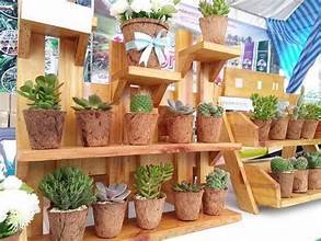 Maceta de fibra de coco a base de plantas para aplicaciones de plantación de invernadero sin productos químicos y agricultura sostenible - Product Image 5