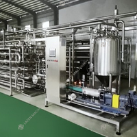 Machine de haute qualité pour faire éplucher les tomates, concentré, pâte, sauce, purée, ligne de production complète