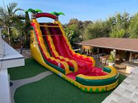 Toboggan aquatique gonflable Tropical Fiesta à double piste de 22 pieds avec certification CE, garantie de 3 ans, capacité de 500 personnes