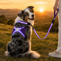 Harnais, collier et laisse pour chien Qcool à haute visibilité, réfléchissant, respirant, avec sangles réglables, OEM ODM, fabrication sur mesure, LED