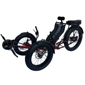 Vendeur de tricycles à pédales à pneus larges et trikes couchés vérifié par Promo Seller - Product Image 3