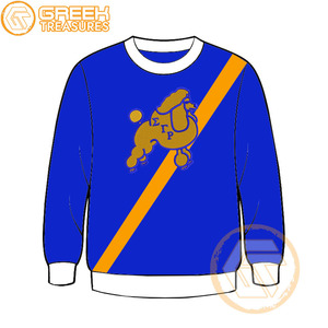Haute qualité personnalisé Sigma Gamma Rho coton polaire sweat brodé pull veste femmes vêtements grecs sororité Style - Product Image 6