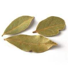 BON PRIX ET BON PRODUIT FEUILLES DE SOURSOP/FEUILLES DE GRAVIOLA SÉCHÉES - Product Image 4