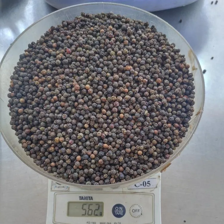 Bumbu panas biji lada hitam 500G/L FAQ tanaman baru HANFIMEX atasan pabrik VIETNAM harga kualitas tinggi WhatsApp 0084374074818