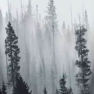 Vente en gros de sweats à capuche pour hommes à séchage rapide sur mesure de haute qualité grande taille à capuche avec logo personnalisé motif solide - Product Image 6