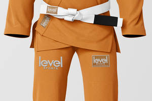 Profesional de alta calidad 2025 entrenamiento Gi Judo uniforme artes marciales MMA Karate Jiu Jitsu conjuntos de traje 100% algodón logotipo personalizado - Product Image 2