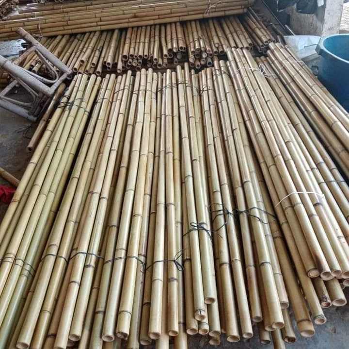 Wholesale bamboo poles for construction & building materials High