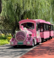 Tren turístico sin rieles eléctrico y diésel para parques de atracciones y turismo, precio de fábrica