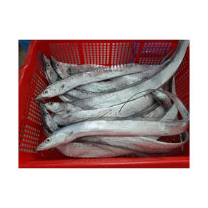 Pescado Fresco Ribbon Fish, Pescado Entero con Manchas Azules, Mariscos Frescos al por Mayor - Product Image 5