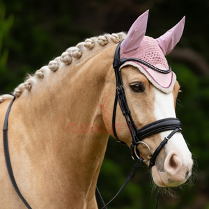 Gorro de oreja de caballo de alta calidad, velo de mosca de ganchillo, ligero, transpirable, lavable, hecho en Pakistán para Show Riders Ear Bonnet - Product Image 3