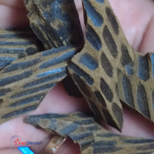 Vietnam Tiger <b>Agarwood</b> Chips Premium High Resin Natural Oud Wood for Aromatic Use in <b>Incense</b> Burners-Wholesale and Export - Product Image 4