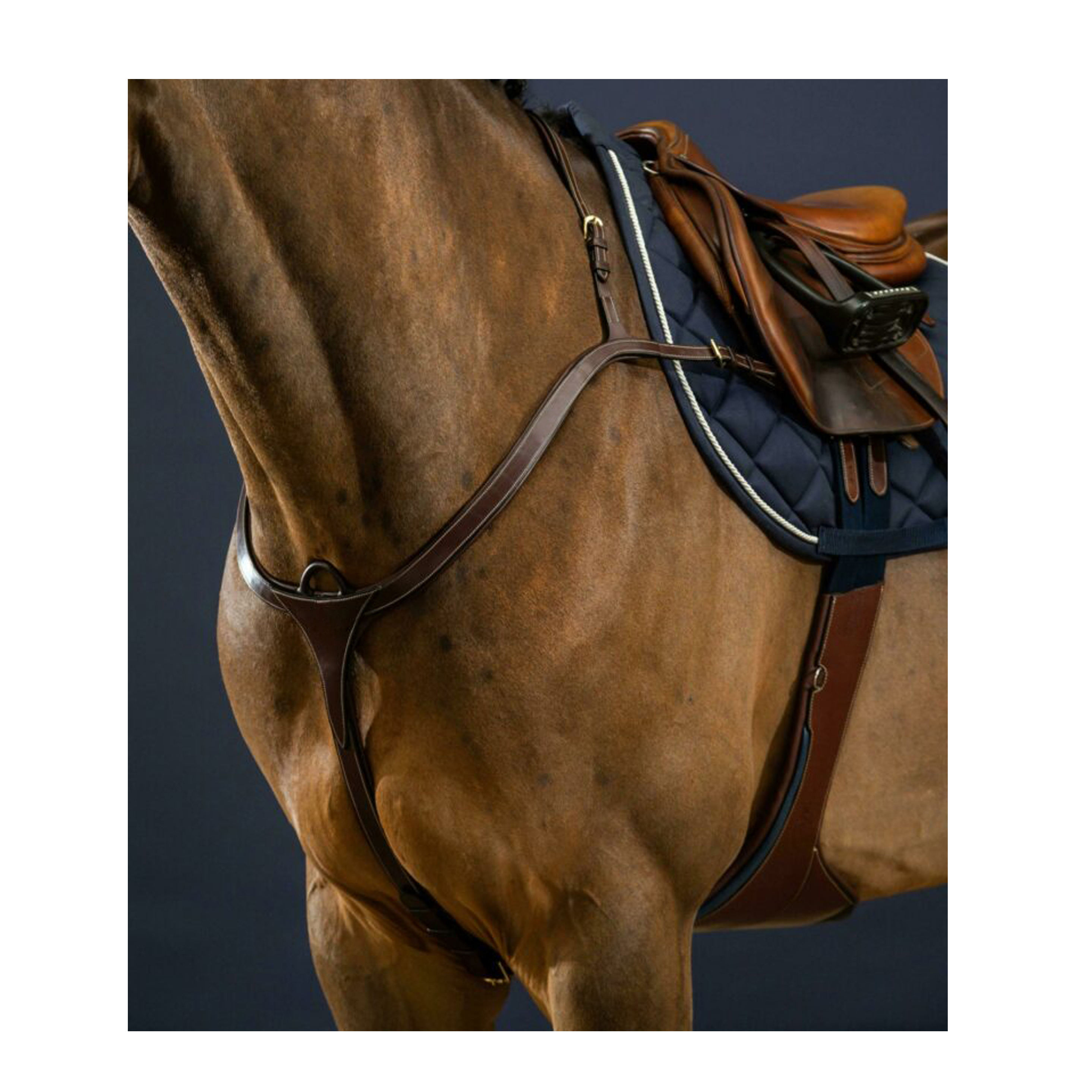 สีน้ำตาล