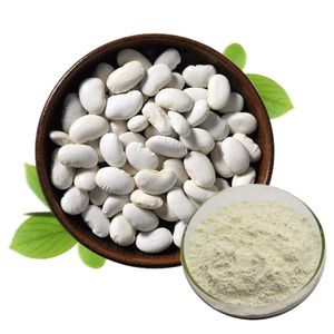 Frijoles de riñón blancos de alta calidad Precio Tamaño pequeño Orgánicos secos a granel Canadá Frijoles de riñón Blanco - Product Image 1