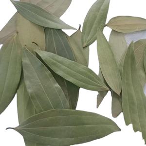 Hojas de Laurel Secas al Por Mayor, Hierba y Especia Individual de la India, Calidad Premium, Sabor Natural, Aroma Fresco - Product Image 3