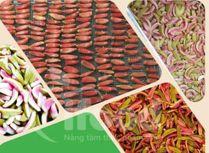 Goyave séchée douce du Vietnam, texture moelleuse, goût frais et sucré, vente en gros en vrac - Product Image 3