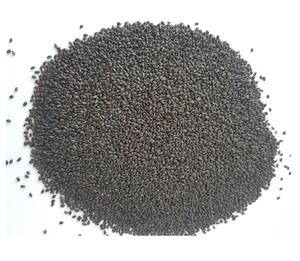 Graines de basilic séchées de qualité supérieure pour l'exportation en vrac Meilleur prix sur le marché - Product Image 4