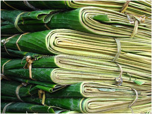 ใบกล้วยสดส่งออกที่มีมาตรฐานการส่งออกสูงและราคาที่แข่งขันได้จากเวียดนาม - Product Image 2