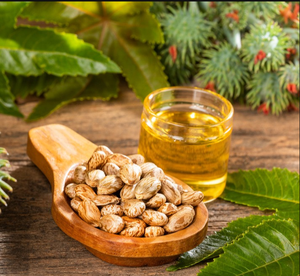 Olio di Ricino 100% Naturale Puro Biologico Spremuto a Freddo di Alta Qualità Olio Vettore per Crescita dei Capelli e Cura della Pelle 1kg all'Ingrosso - Product Image 4