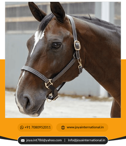 Meilleure qualité licou en cuir de cheval indien prix de gros licou triple couture fournisseur pliant - Product Image 4