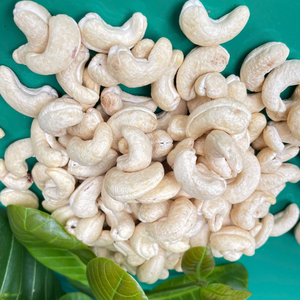 เม็ดมะม่วงหิมพานต์แบบเม็ดมะม่วงหิมพานต์แบบเม็ดมะม่วงหิมพานต์จากเวียดนามถั่วเม็ดมะม่วงหิมพานต์จากเวียดนาม Ww180 Ww240 Ww320ราคาถูก - Product Image 1