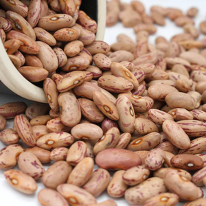 Best Price Classic Frozen Red Kidney Beans 25kg 12 Months Shelf Life OEM Stock Fast Delivery Bulk Buyers Logo Customization - Product Image 1