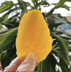Mangue séchée douce Snack tropical caoutchouteux du Vietnam à base de mangue de qualité supérieure Idéal pour l'usine alimentaire, la boulangerie et l'approvisionnement en hôtels - Product Image 2