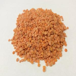 Lentejas Rojas Masoor Dal al por Mayor para Empaque Minorista - Lentejas Partidas 100% Orgánicas a Granel en Venta - Product Image 4