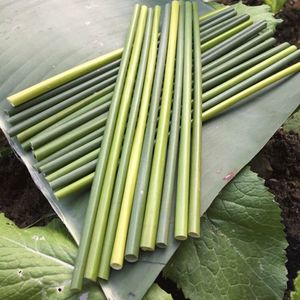 Pailles en herbe 100% biologiques et naturelles, écologiques, certifiées, pour emballage cadeau, accessoires de bar, personnalisables, du Vietnam, pour la boisson - Product Image 6