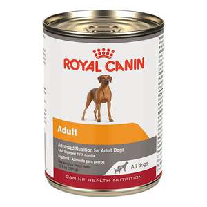 Alimento Seco para Mascotas Royal Canin de Alta Calidad, Compra al por Mayor para Gatos y Perros - Product Image 1