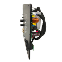 Module d'amplificateur de puissance Offre Spéciale intégré ON / AUTO commutable professionnel 250W classe D amplificateur de plaque de caisson de basses