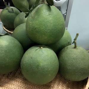 Meilleur choix Bon Prix Peau verte pomelo pamplemousse Avec chair rose Livraison rapide - Product Image 6