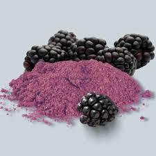 Suministro a granel al por mayor de polvo de mora deshidratado para aplicaciones cosméticas y nutracéuticas alimentarias a bajo precio - Product Image 5