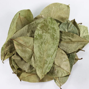 Feuilles de Corossol-Safaty-Naturel-Wildcrafted - Product Image 3