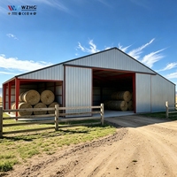 Nave de Almacenamiento de Heno Personalizada, Cobertizo, Almacén, Estructura de Acero Prefabricada, Edificio Agrícola de Bajo Costo, Edificio Metálico de Almacenamiento