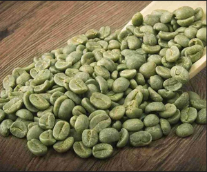 Café Vert Arabica Biologique du Vietnam, Qualité A+, Grains de Café Bruts, Vente en Gros, Approvisionnement en Vrac, Certifié USDA TNFOOD - Product Image 6