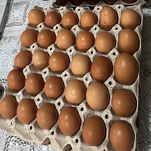 Œufs blancs extra grands de qualité AA, sans cage, excellent rapport qualité-prix, boîtes de 12 ou 60 œufs en vente - Product Image 2