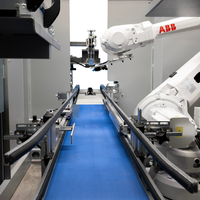 Bras robotisé de fabrication italienne DOM ROBOT à chargement vertical Solution d'emballage automatique pour boîtes américaines Ligne d'emballage RSC/HSC