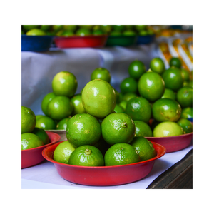 Meilleur prix pour les citrons frais cultivés au Vietnam-Citrons sans pépins d'excellente qualité avec beaucoup de jus - Product Image 1